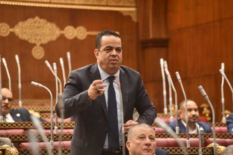 النائب عصام هلال: التطوير في المطارات ومصر للطيران لا يواكب توقعات المواطنين والمسافرين