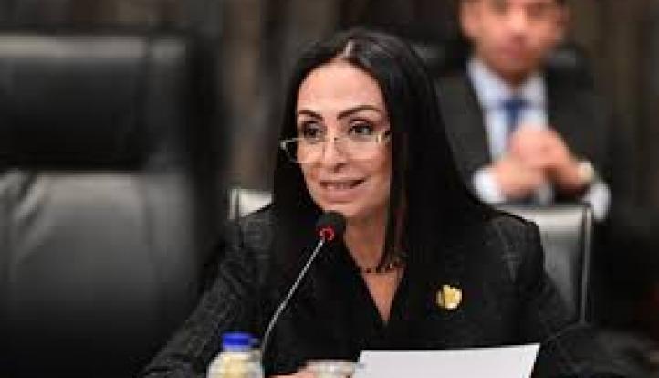 تضامن النواب تناقش موازنة الوزارة بمشاركة مايا مرسي