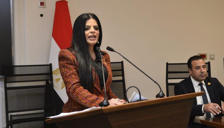 النائبة زينب بشير تطالب الحكومة بخطة شاملة لدعم الطاقة الشمسية المنزلية