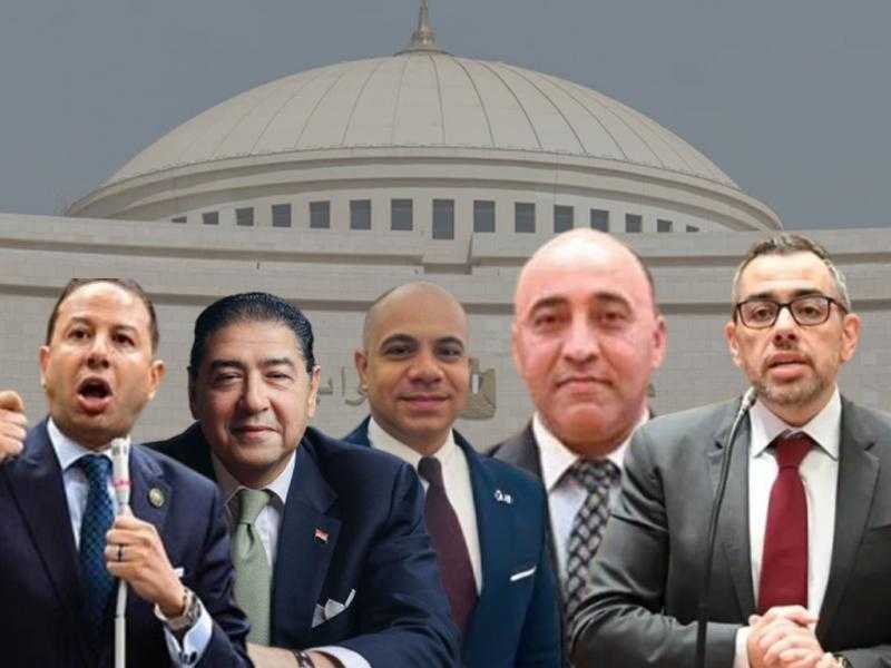 بعد تصريحات عز العرب وتدخلات برلمانية.. الرقابة المالية تنشئ قوائم تحذيرية وسلبية لضبط سوق التمويل غير المصرفي
