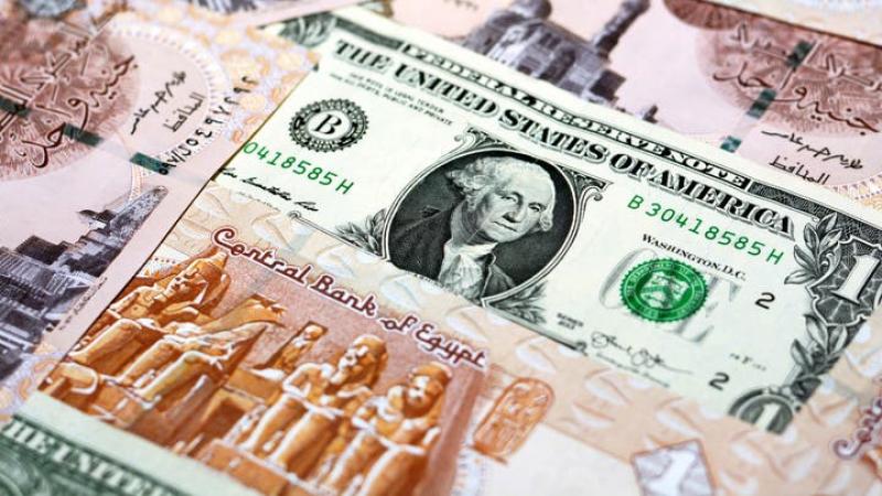 سعر الدولار 