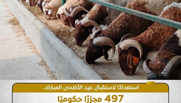 497 مجزرا حكوميا تفتح أبوابها مجانا خلال أيام العيد