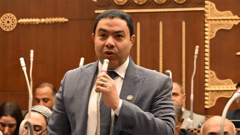 النائب إسماعيل الشرقاوي 