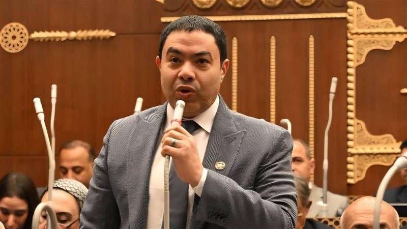 النائب إسماعيل الشرقاوي