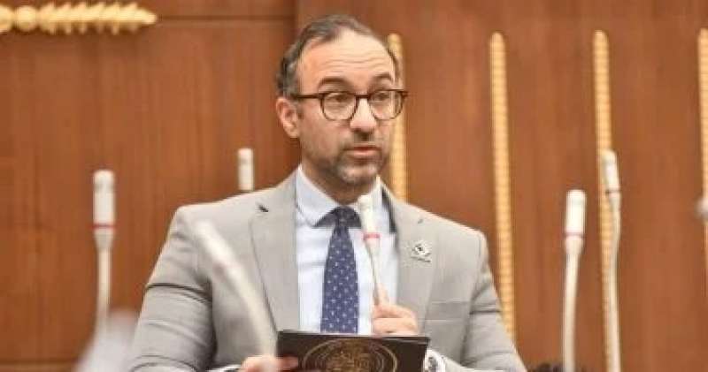 النائب أحمد الحمامصي 