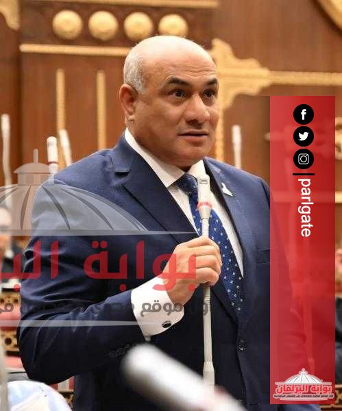 شعبان رأفت: خطة التنمية 2026/2027 تعكس قدرة الدولة على مواجهة التحديات وتحقيق نمو اقتصادي مستدام