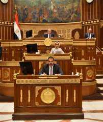 وكيل مجلس الشيوخ: نجاح خطة التنمية مرهون بتمكين القطاع الخاص ورفع مساهمته... وكيل مجلس الشيوخ: نجاح خطة التنمية مرهون بتمكين القطاع الخاص ورفع مساهمته إلى 70%