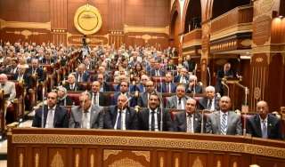رئيس برلمانية حماة الوطن بالشيوخ يعلن موافقته على خطة التنمية الاقتصادية والاجتماعية 2026/2027
