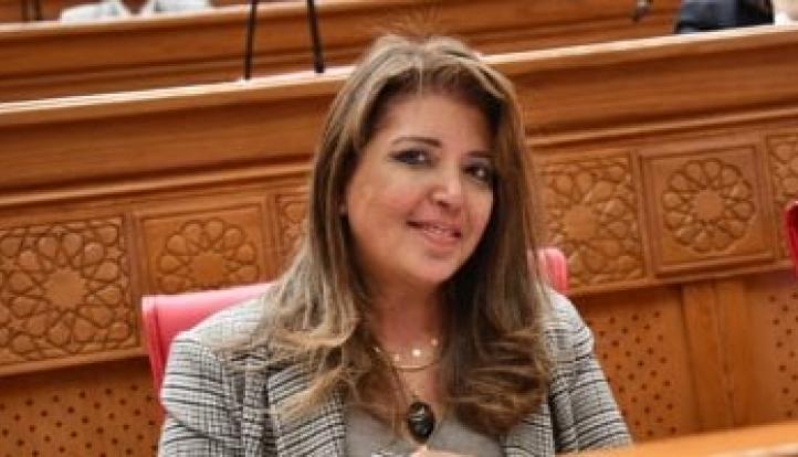 داليا السعدني: المتحدة للخدمات الإعلامية تؤكد ريادتها بتنظيم ”الفان زون” بصورة تليق بالجمهور المصري