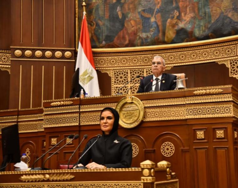 جلسة مجلس الشيوخ 