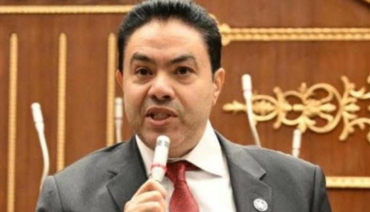الشرقاوي: حماية المستهلك المصري يجب أن تظل أولوية عند التوسع في تصدير الدواجن