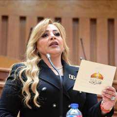 النائبة هبة غالي تطالب الحكومة بحل أزمة العدادات الكودية.. ظلم وأعباء لايتحملها محدودو الدخل