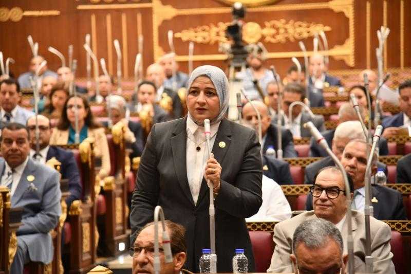 النائبة مروة قنصوه: مشاركة الرئيس السيسي في قمة مجموعة السبع تعكس المكانة الدولية المتنامية لمصر وثقة العالم في رؤيتها التنموية