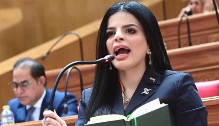 النائبة زينب بشير تطالب بضرورة ربط أبحاث الذكاء الاصطناعي بقطاع البترول لتعظيم الكفاءة وخفض التكلفة