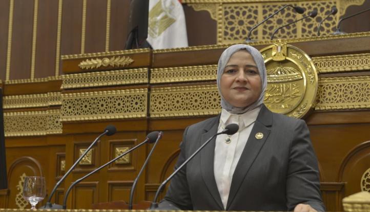 النائبة مروة قنصوه: لقاء الرئيس السيسي وترامب يؤكد ثقل مصر الدولي ومكانتها المحورية في صناعة القرار الإقليمي والدولي