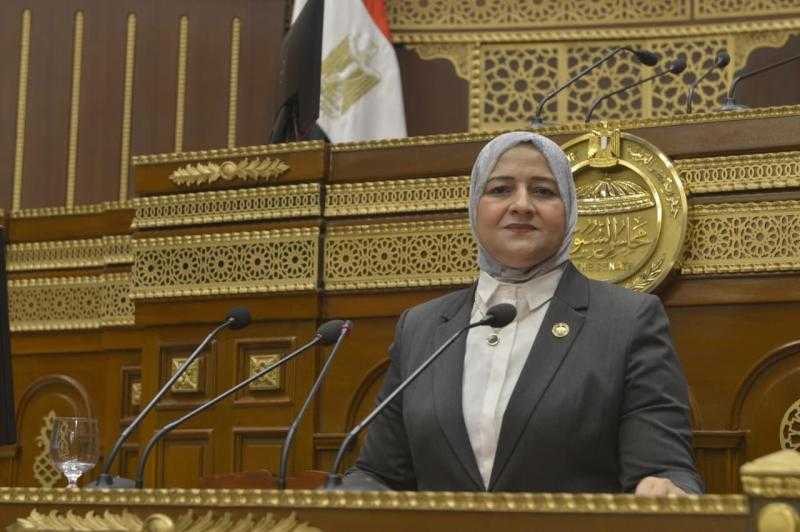 النائبة مروة قنصوه: لقاء الرئيس السيسي وترامب يؤكد ثقل مصر الدولي ومكانتها المحورية في صناعة القرار الإقليمي والدولي