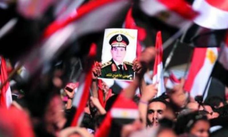 ثورة 30 يونيو 