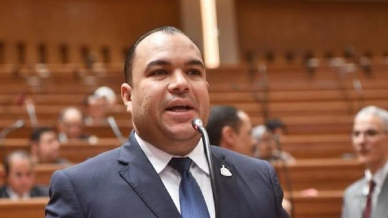 النائب أحمد عصام 