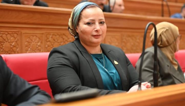 النائبة مروة حسان: قرار الرئيس السيسي بزيادة المعاشات 15% يرسخ ركائز العدالة الاجتماعية