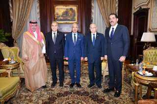 رئيس مجلس الشيوخ يستقبل السفير السعودي لبحث تعزيز التعاون المشترك