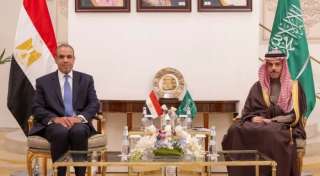 مصر والسعودية تؤكدان أهمية صون أمن الخليج وضمان حرية الملاحة