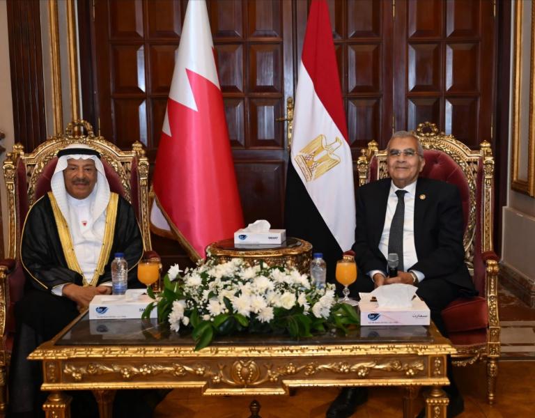 جانب من اللقاء 