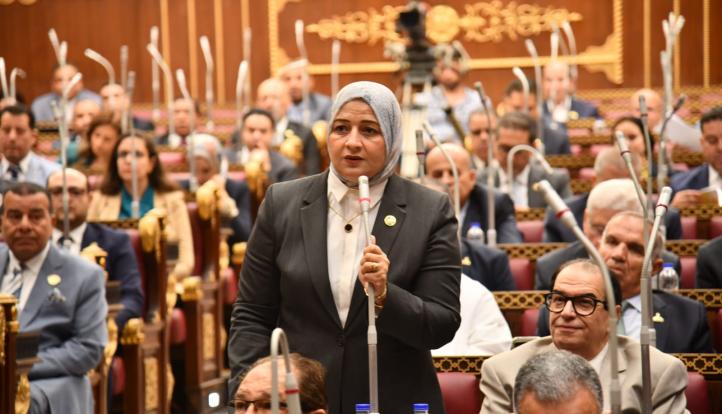 قنصوه: ثورة 30 يونيو ستظل رمزًا للوعي الوطني والانتماء لمصر