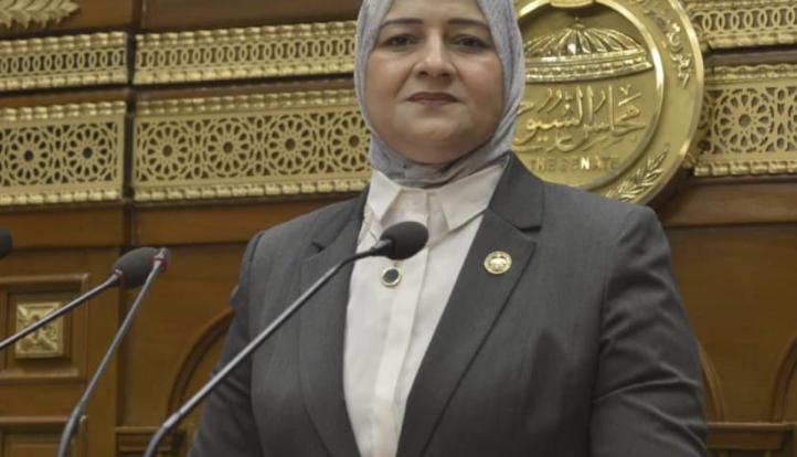 د.مروة قنصوة تكتب: ثورة 30 يونيو.. ملحمة استعادة الهوية وتضحيات الأبطال وبناء الجمهورية الجديدة