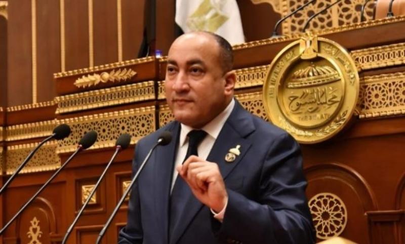 أهم محطات مصر التاريخية.. النائب عمرو رشاد: بيان 3 يوليو خارطة طريق أنقذت الدولة ومهدت لانطلاق الجمهورية الجديدة