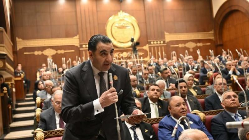 رئيس برلمانية المؤتمر بالشيوخ 