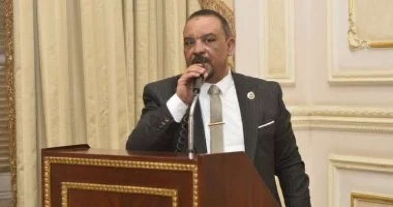 النائب أحمد حافظ 