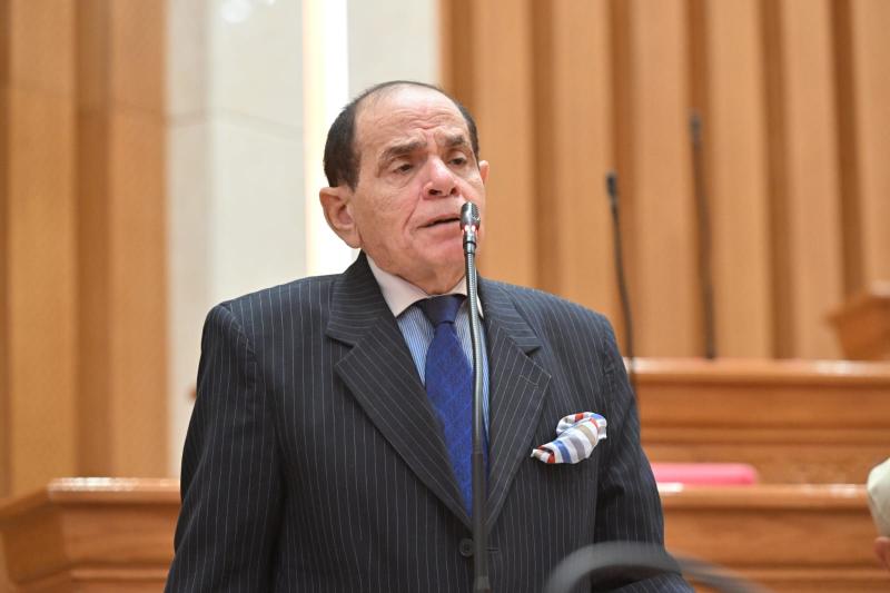 صلاح فوزى 