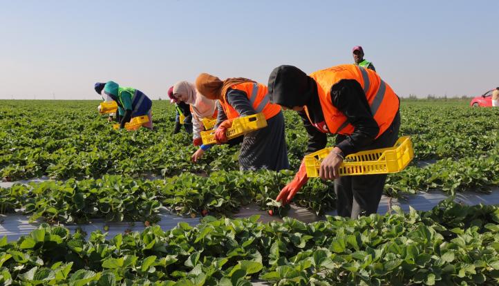 بالصور.. من الأمن الغذائي إلى الأمن الاقتصادي.. كيف يدير جهاز مستقبل مصر منظومة متكاملة لتأمين احتياجات الدولة؟