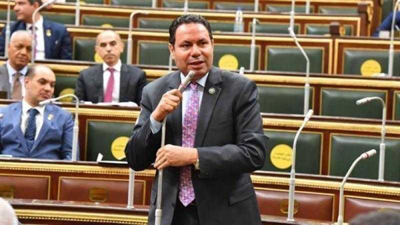 النائب هشام الحصري: زيارة الرئيس السيسي لتنزانيا تفتح آفاق جديدة للاستثمار الزراعي الأفريقي