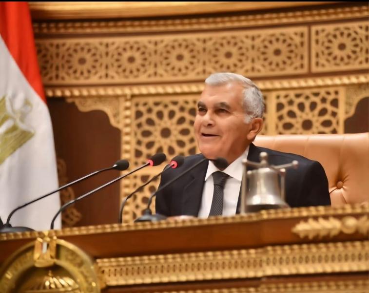 عصام فريد 
