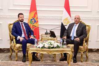 المستشار هشام بدوي رئيس مجلس النواب يلتقي رئيس جمهورية الجبل الأسود المستشار هشام بدوي رئيس مجلس النواب يلتقي رئيس جمهورية الجبل الأسود