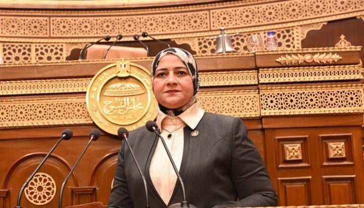 النائبة مروة قنصوه: ثورة 23 يوليو صنعت الدولة الوطنية.. والجمهورية الجديدة تواصل مسيرة الإنجاز والتنمية