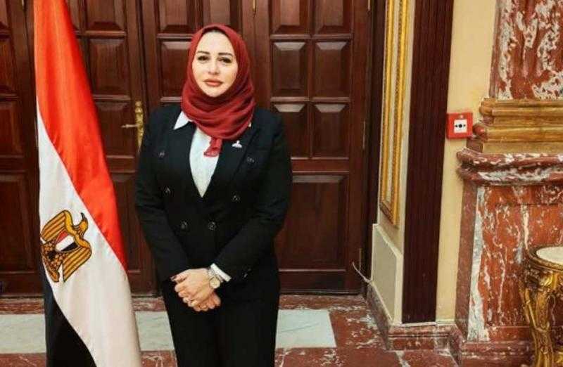 اقتراح برلماني بتغيير مسمى «ربة منزل» ببطاقة الرقم القومي إلى «صانعة جيل»