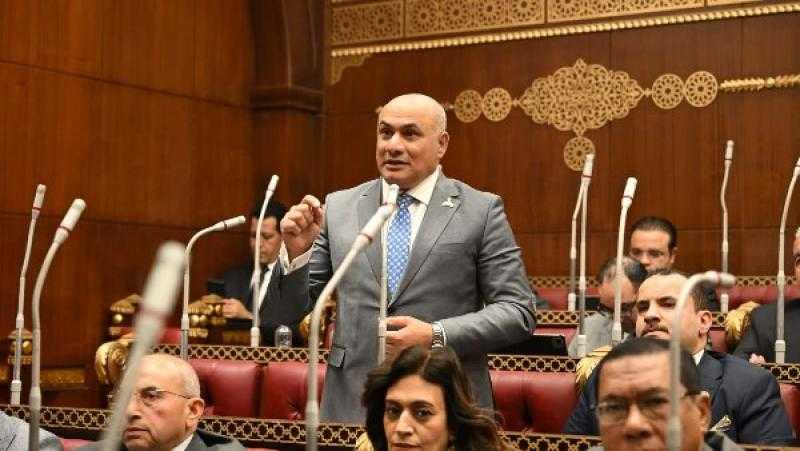 من ”التحويشة” إلى الاستثمار.. عضو بـ”الشيوخ” يقترح استراتيجية قومية لنشر ثقافة الادخار وتعزيز الشمول المالي