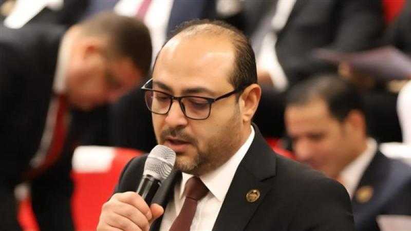 النائب محمد مصطفى كشر: إطلاق المنظومة الرقمية الموحدة لدعم المصنعين يعزز تنافسية الصناعة المصرية