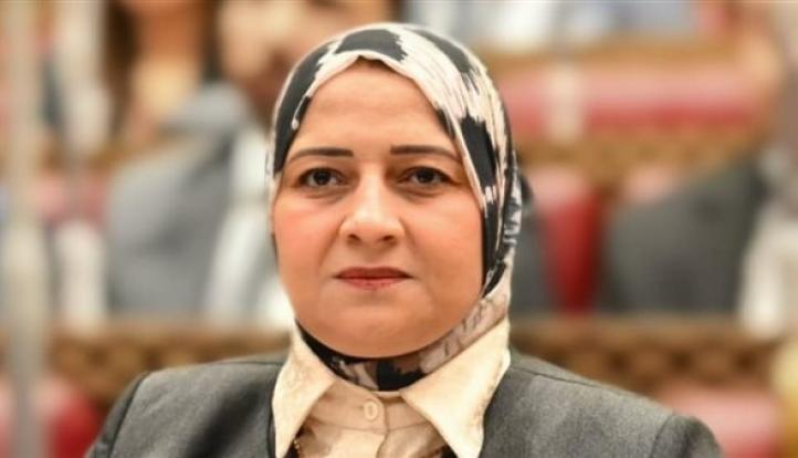 11 عامًا على افتتاح قناة السويس الجديدة.. النائبة مروة قنصوة: رؤية الدولة حولت الممر الملاحي إلى مركز اقتصادي عالمي