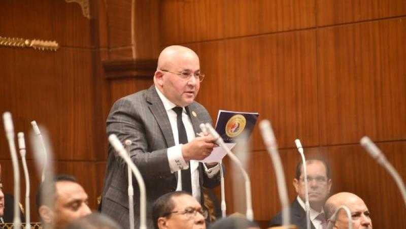 النائب إبراهيم عيسى: تجاوز الصادرات الزراعية 6.2 مليون طن يعكس قوة القطاع الزراعي