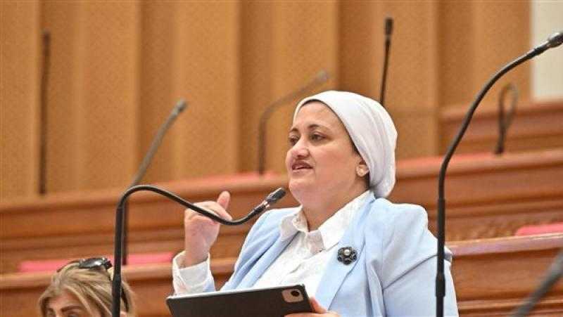ردًا على سناء السعيد.. مجلس النواب: فحص إقرارات الذمة المالية يتم بشكل دوري وفقًا للقانون