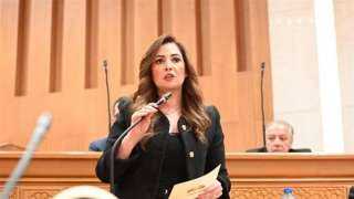 النائبة أميرة تطالب بتحديث بيانات الدخل والإنفاق لتحديد مستحقي الدعم النائبة أميرة تطالب بتحديث بيانات الدخل والإنفاق لتحديد مستحقي الدعم