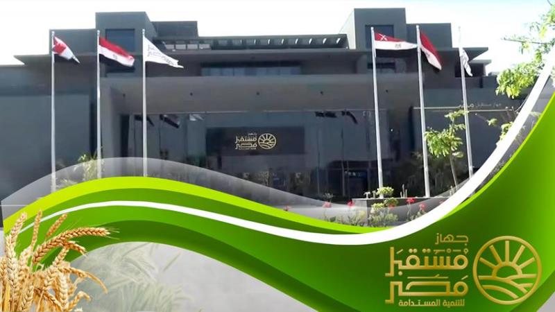 مستقبل مصر 