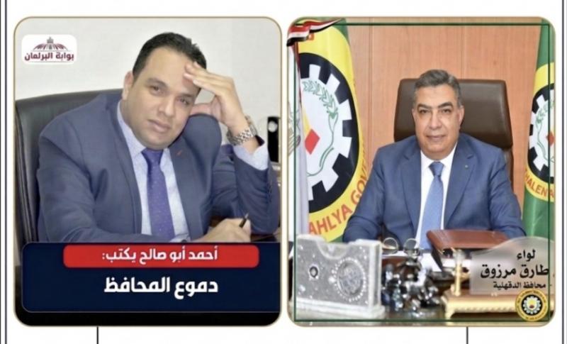 محافظ الدقهلية 