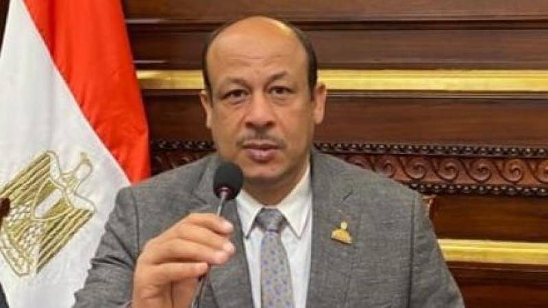 سمير البيومي 