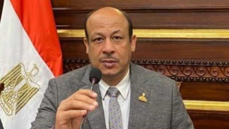 النائب سمير البيومي يسأل وزيرة التضامن عن أوضاع 15 ألف رائدة اجتماعية