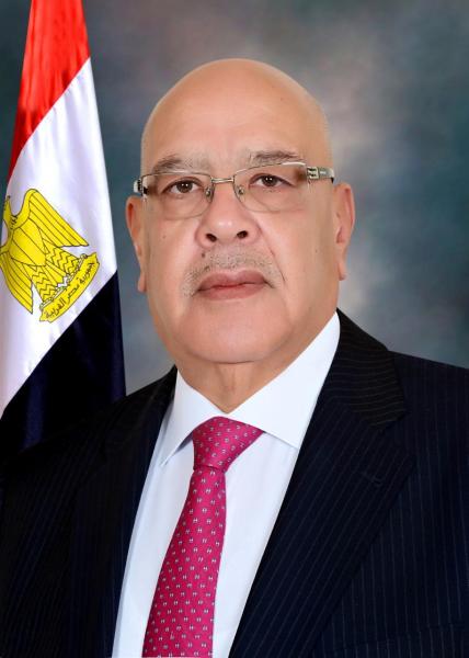 المستشار هشام بدوي 
