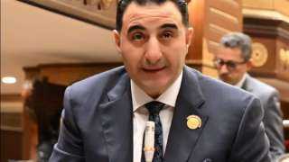 وكيل صناعة الشيوخ يطالب برقم متابعة موحد لكل شكوى حكومية حتى الوصول للحل